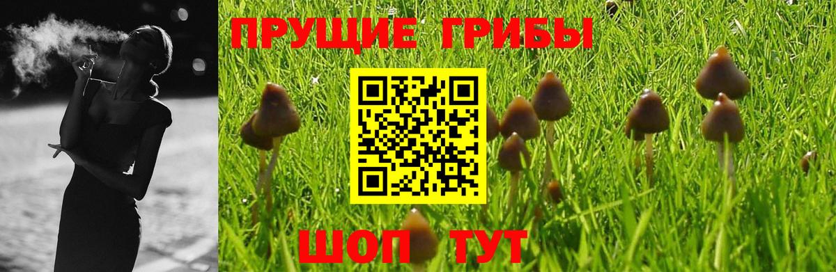 Находка  Псилоцибиновые грибы мицелий  Вход с VPN 